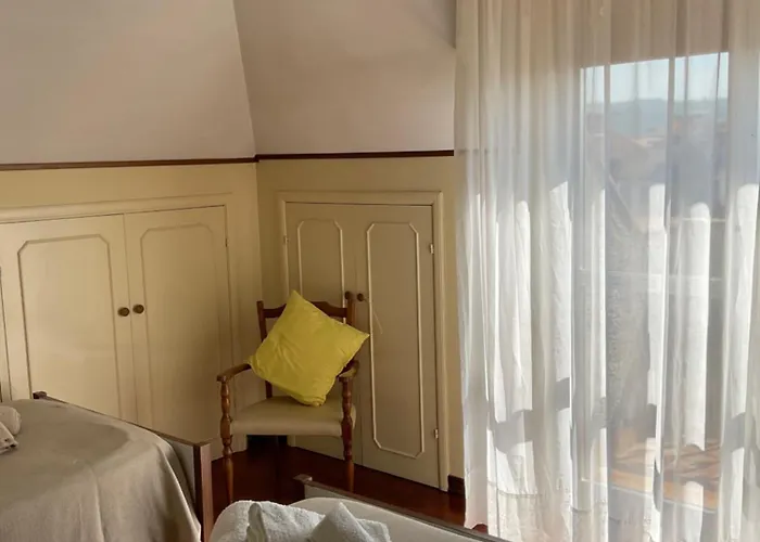 Cento Girasoli Centobuchi