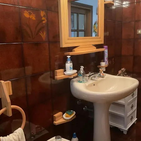 Cento Girasoli Centobuchi