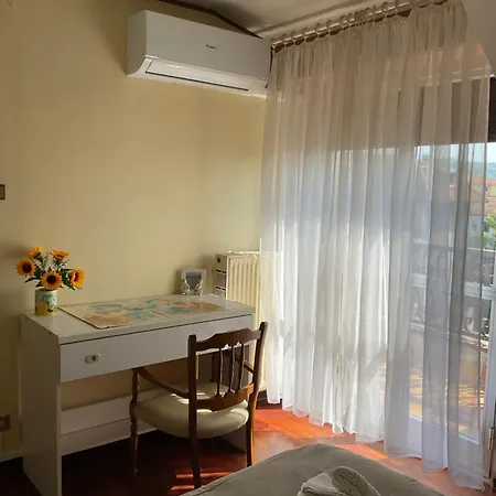 Cento Girasoli