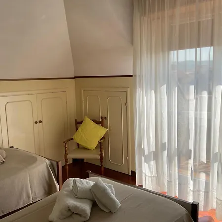 Cento Girasoli Centobuchi