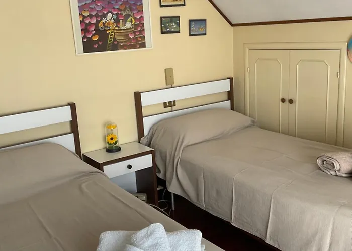 Cento Girasoli Centobuchi